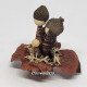 Miniature Handmade Nativity Scene with Cowrie Shells in Persimmon Leaf