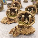 Walnut Shell Nativity Sets