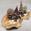 Jacaranda Seed Pod Nativity Sets